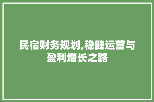 民宿财务规划,稳健运营与盈利增长之路