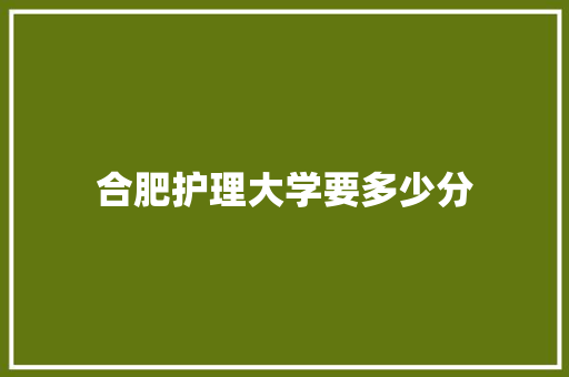 合肥护理大学要多少分