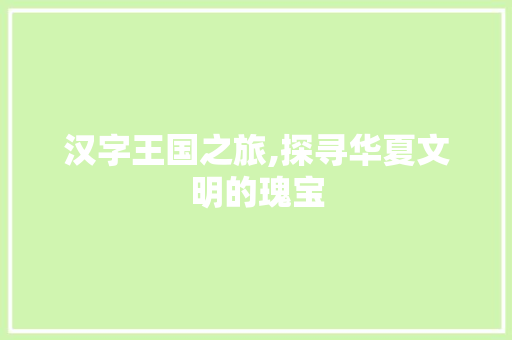 汉字王国之旅,探寻华夏文明的瑰宝 工作总结