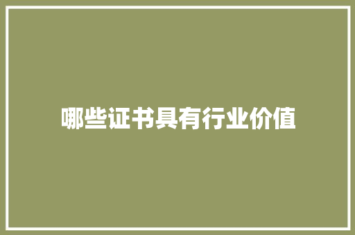 哪些证书具有行业价值