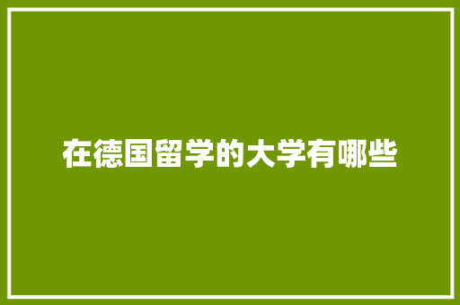 在德国留学的大学有哪些