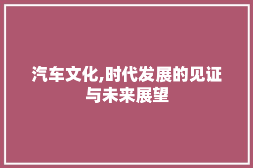 汽车文化,时代发展的见证与未来展望