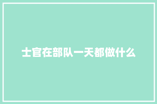 士官在部队一天都做什么