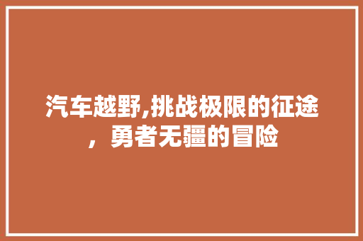 汽车越野,挑战极限的征途，勇者无疆的冒险 工作总结