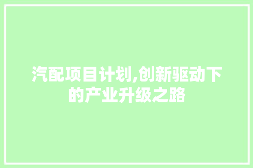 汽配项目计划,创新驱动下的产业升级之路 工作总结