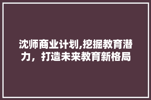 沈师商业计划,挖掘教育潜力，打造未来教育新格局