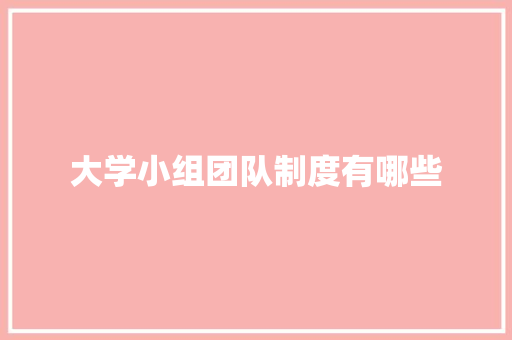 大学小组团队制度有哪些