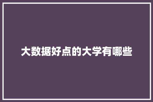 大数据好点的大学有哪些