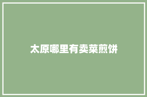 太原哪里有卖菜煎饼