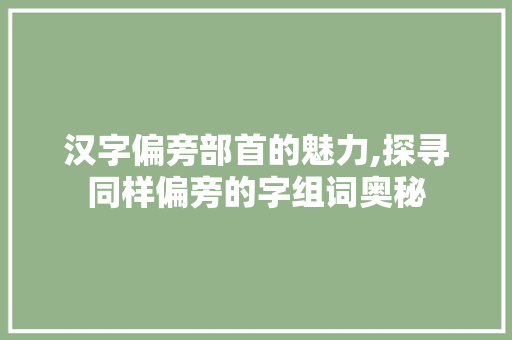 汉字偏旁部首的魅力,探寻同样偏旁的字组词奥秘