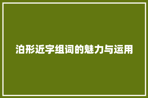 泊形近字组词的魅力与运用