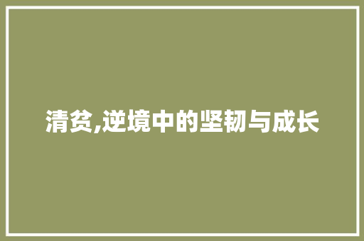 清贫,逆境中的坚韧与成长