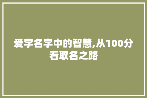 爱字名字中的智慧,从100分看取名之路
