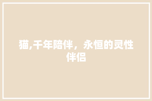 猫,千年陪伴，永恒的灵性伴侣