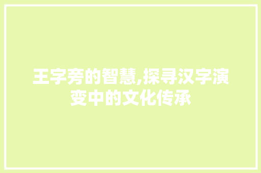 王字旁的智慧,探寻汉字演变中的文化传承