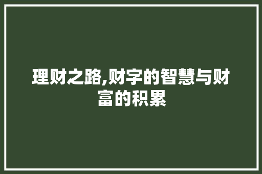 理财之路,财字的智慧与财富的积累