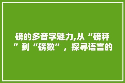 磅的多音字魅力,从“磅秤”到“磅数”，探寻语言的多重韵味