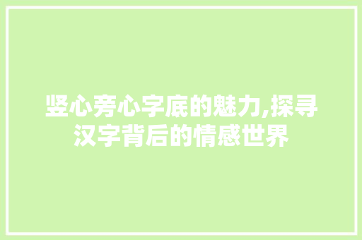 竖心旁心字底的魅力,探寻汉字背后的情感世界