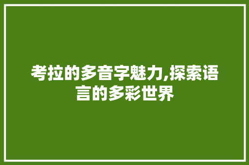 考拉的多音字魅力,探索语言的多彩世界