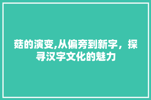 菇的演变,从偏旁到新字，探寻汉字文化的魅力