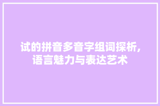 试的拼音多音字组词探析,语言魅力与表达艺术