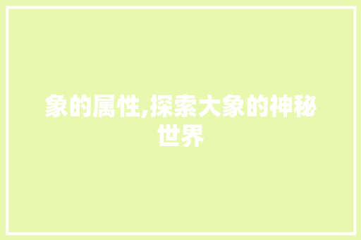 象的属性,探索大象的神秘世界