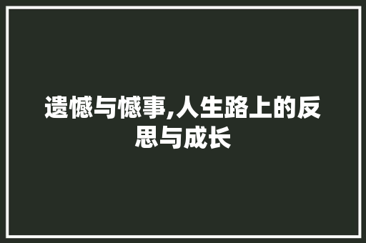 遗憾与憾事,人生路上的反思与成长
