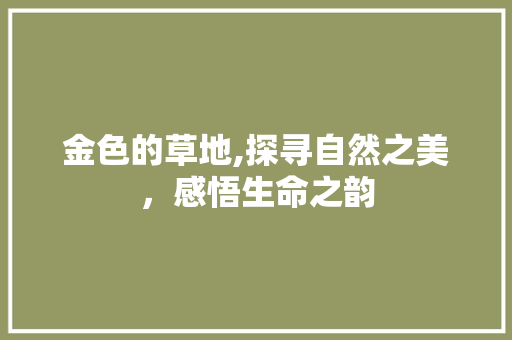 金色的草地,探寻自然之美，感悟生命之韵