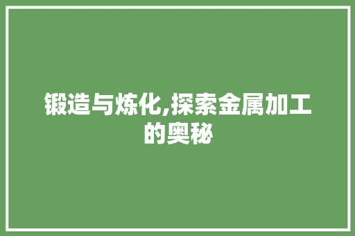 锻造与炼化,探索金属加工的奥秘