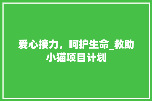 爱心接力，呵护生命_救助小猫项目计划