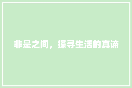 非是之间，探寻生活的真谛