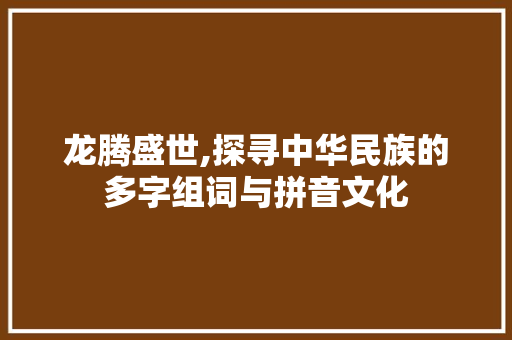龙腾盛世,探寻中华民族的多字组词与拼音文化
