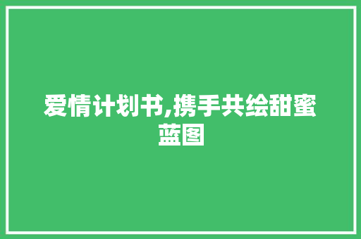 爱情计划书,携手共绘甜蜜蓝图