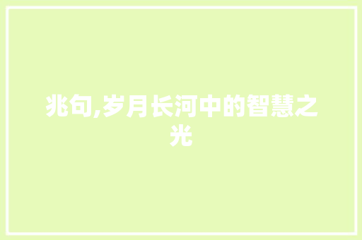 兆句,岁月长河中的智慧之光