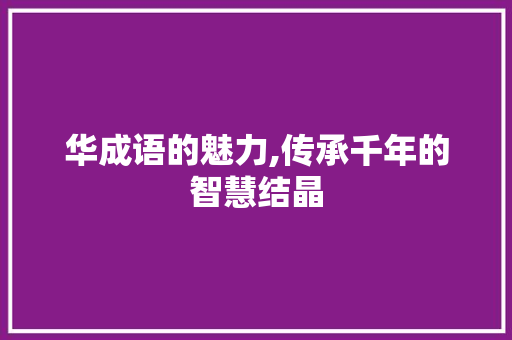 华成语的魅力,传承千年的智慧结晶