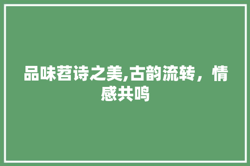 品味苕诗之美,古韵流转，情感共鸣 工作总结