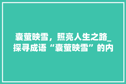 囊萤映雪，照亮人生之路_探寻成语“囊萤映雪”的内涵与启示