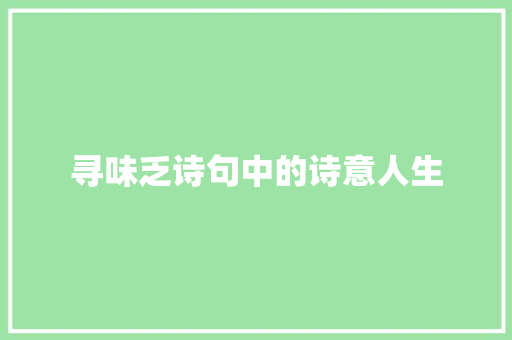 寻味乏诗句中的诗意人生