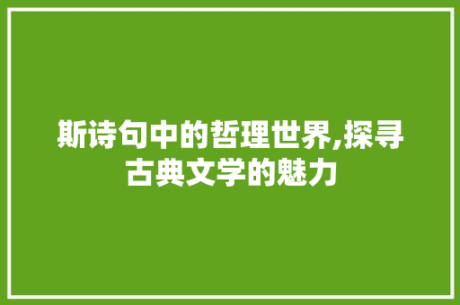 斯诗句中的哲理世界,探寻古典文学的魅力
