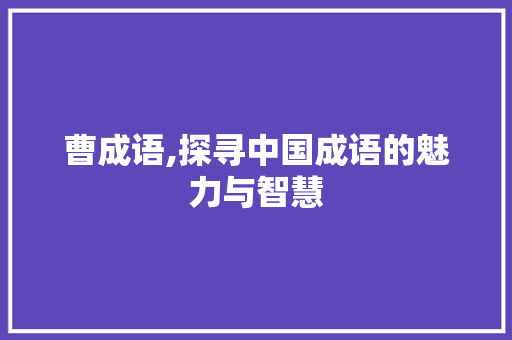 曹成语,探寻中国成语的魅力与智慧