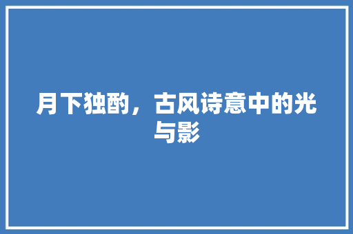 月下独酌，古风诗意中的光与影 演讲稿