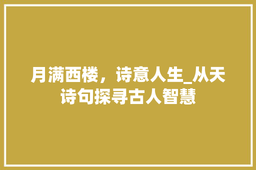 月满西楼，诗意人生_从天诗句探寻古人智慧 工作总结