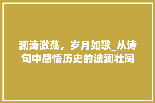 澜涛激荡，岁月如歌_从诗句中感悟历史的波澜壮阔