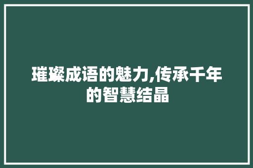 璀璨成语的魅力,传承千年的智慧结晶