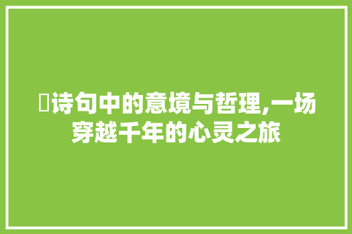 皛诗句中的意境与哲理,一场穿越千年的心灵之旅