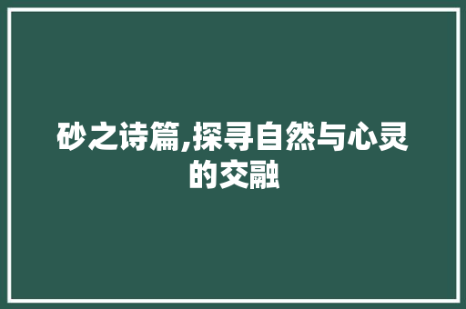 砂之诗篇,探寻自然与心灵的交融