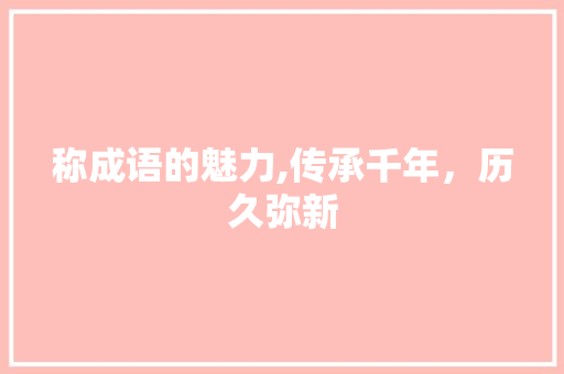 称成语的魅力,传承千年，历久弥新
