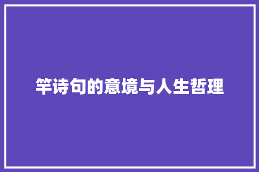 竿诗句的意境与人生哲理
