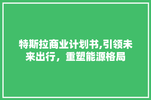 特斯拉商业计划书,引领未来出行，重塑能源格局 诗词鉴赏