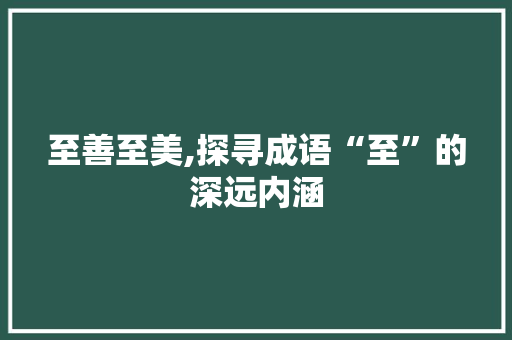 至善至美,探寻成语“至”的深远内涵 国学经典